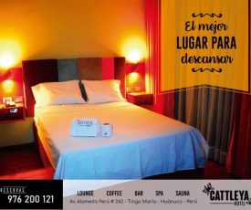 HOTEL CATTLEYA