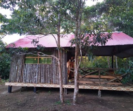 Panguana Lodge