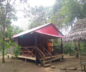 Panguana Lodge