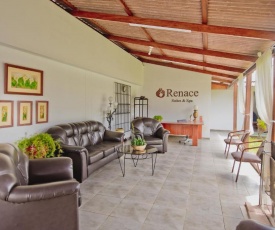 Renace Suites & Spa